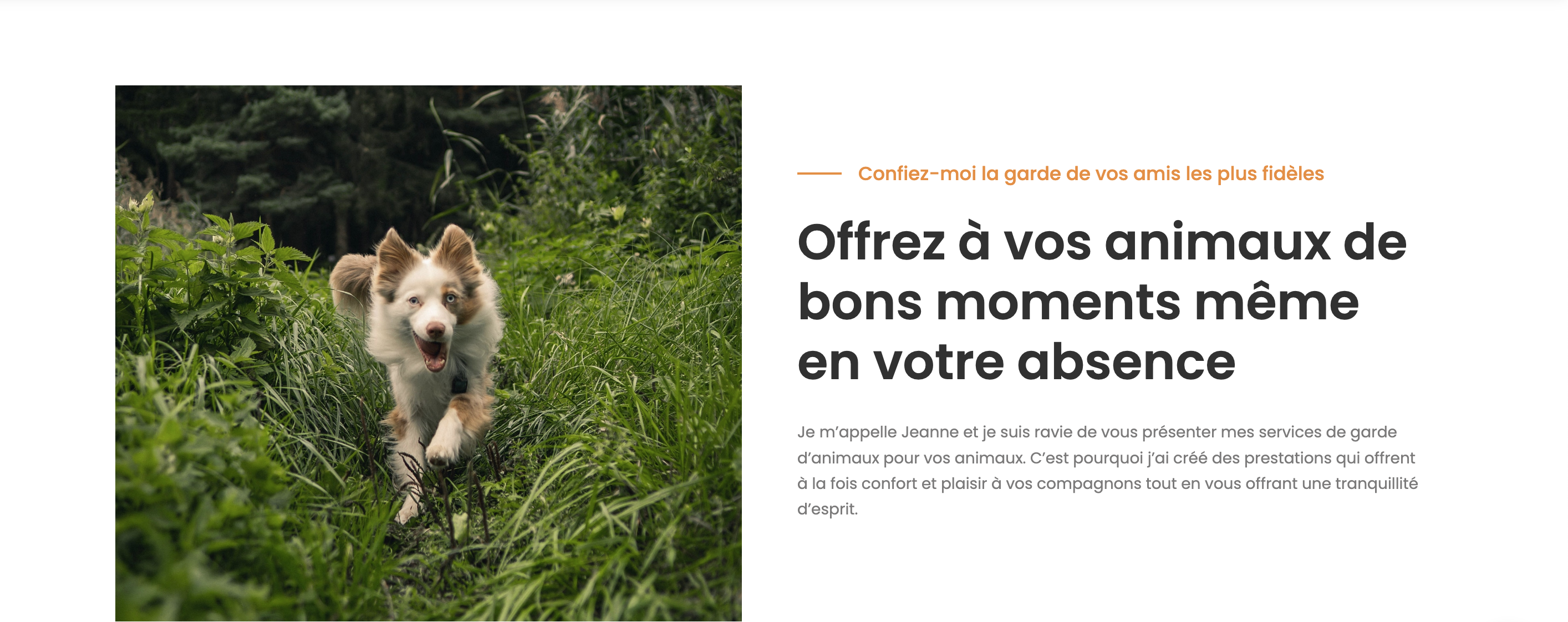 Anim'Home site web PetSitting Bourges1