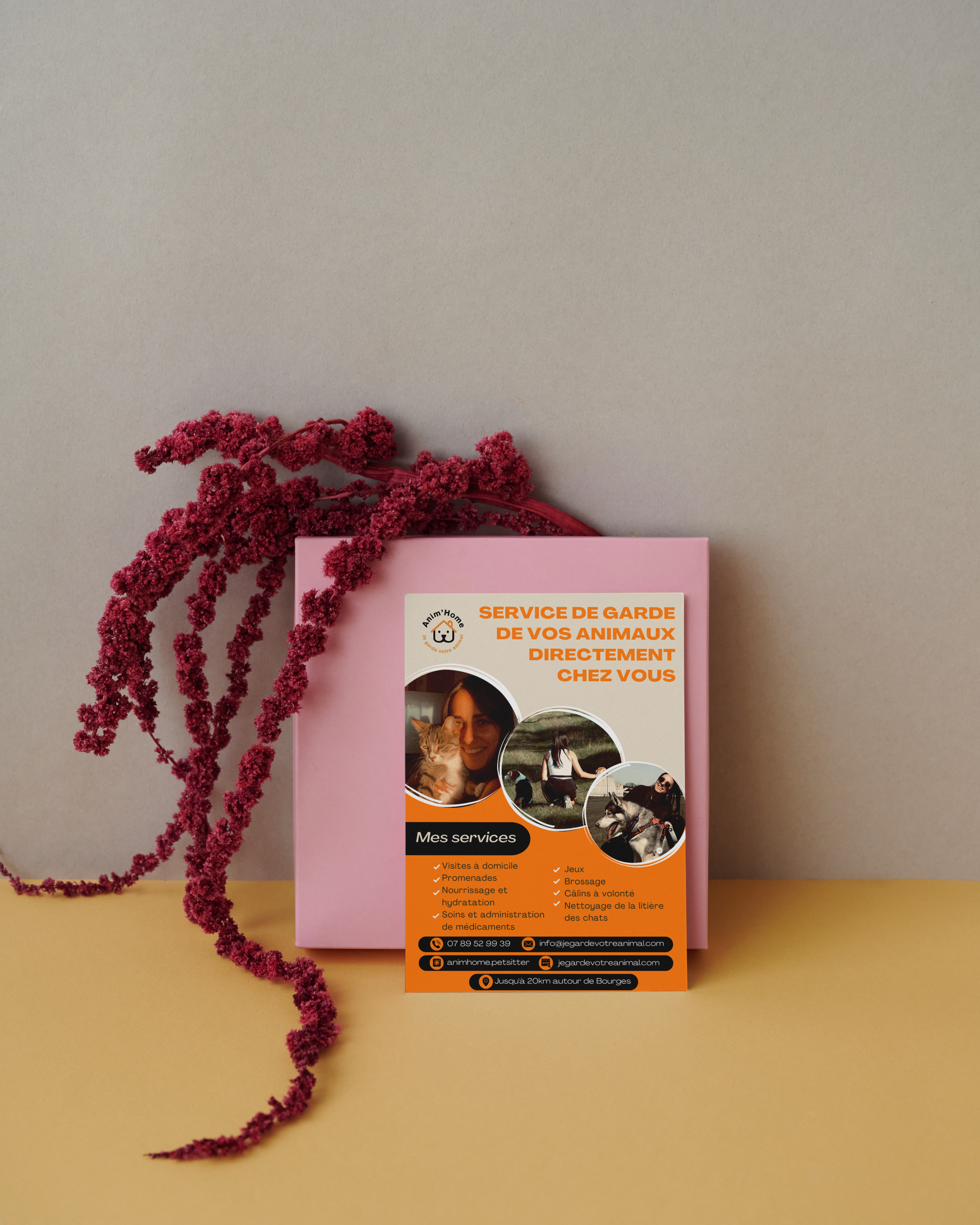 creation flyer AnimHome berry PetSitter Bourges